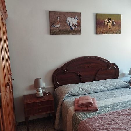 Apartamento Las Fuentes Sierra de Fuentes Bagian luar foto